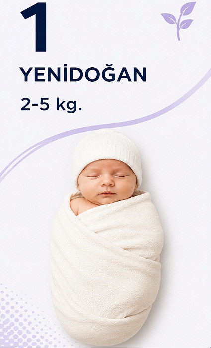 Pampia size 1